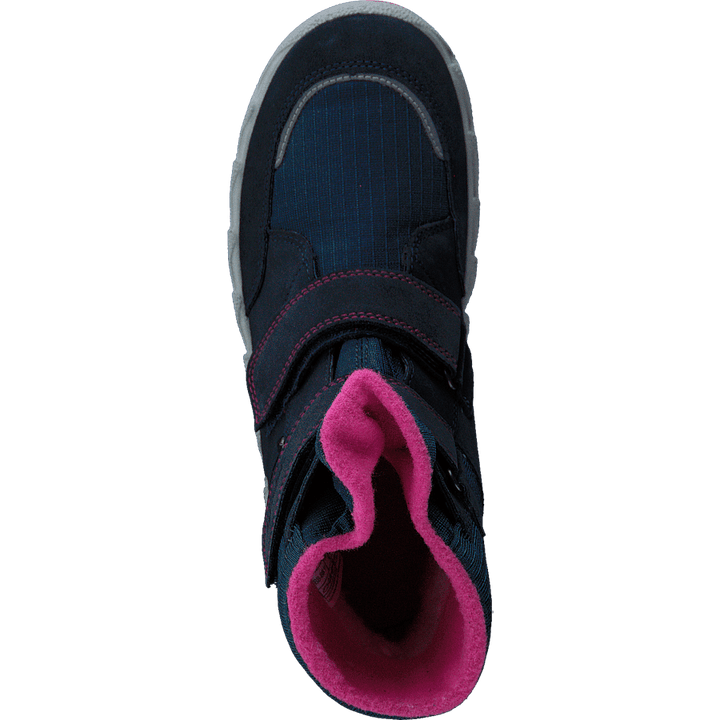 Icebird Blue/pink