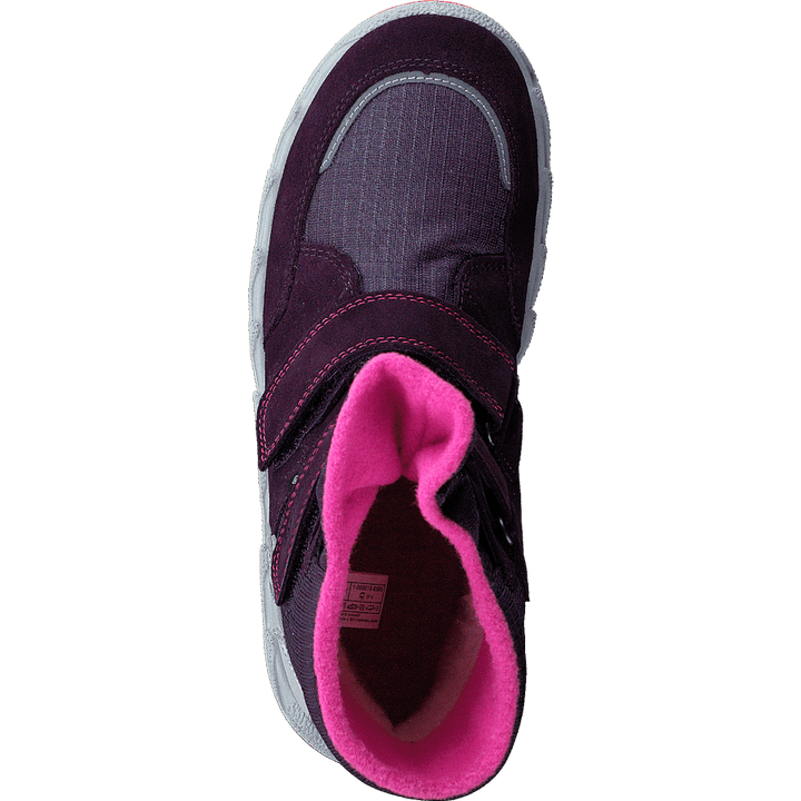 Icebird Purple/pink