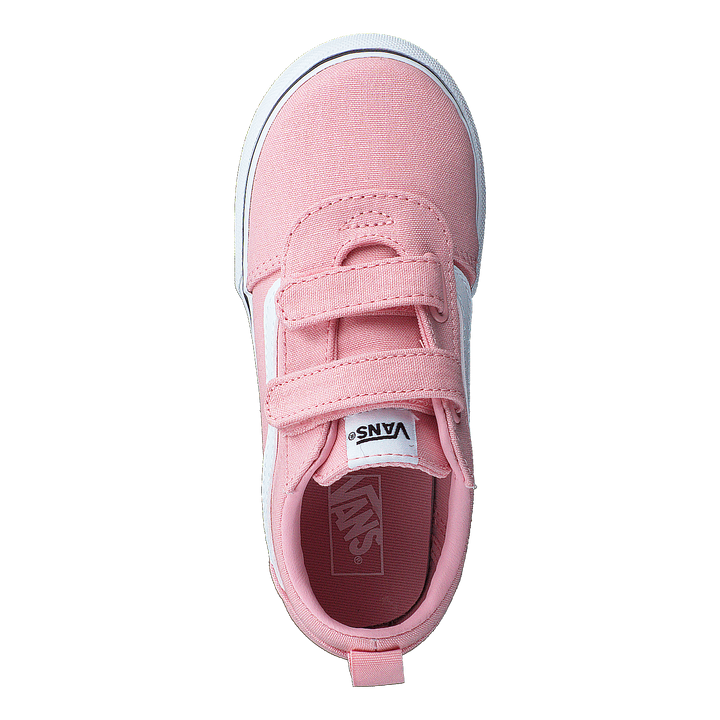 Td Ward V (canvas) Powder Pink/wht