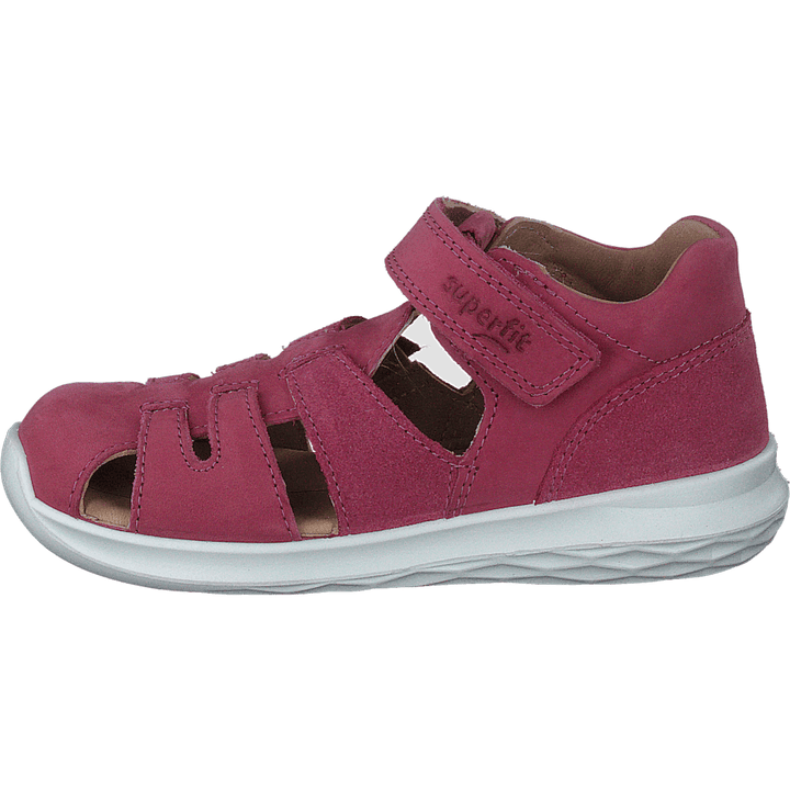 Bumblebee Pink