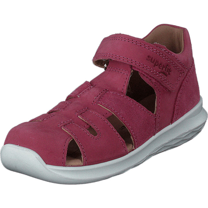 Bumblebee Pink