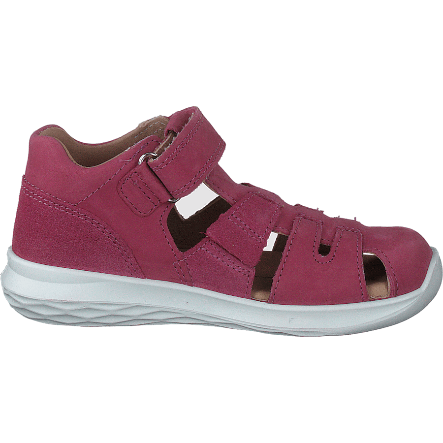 Bumblebee Pink