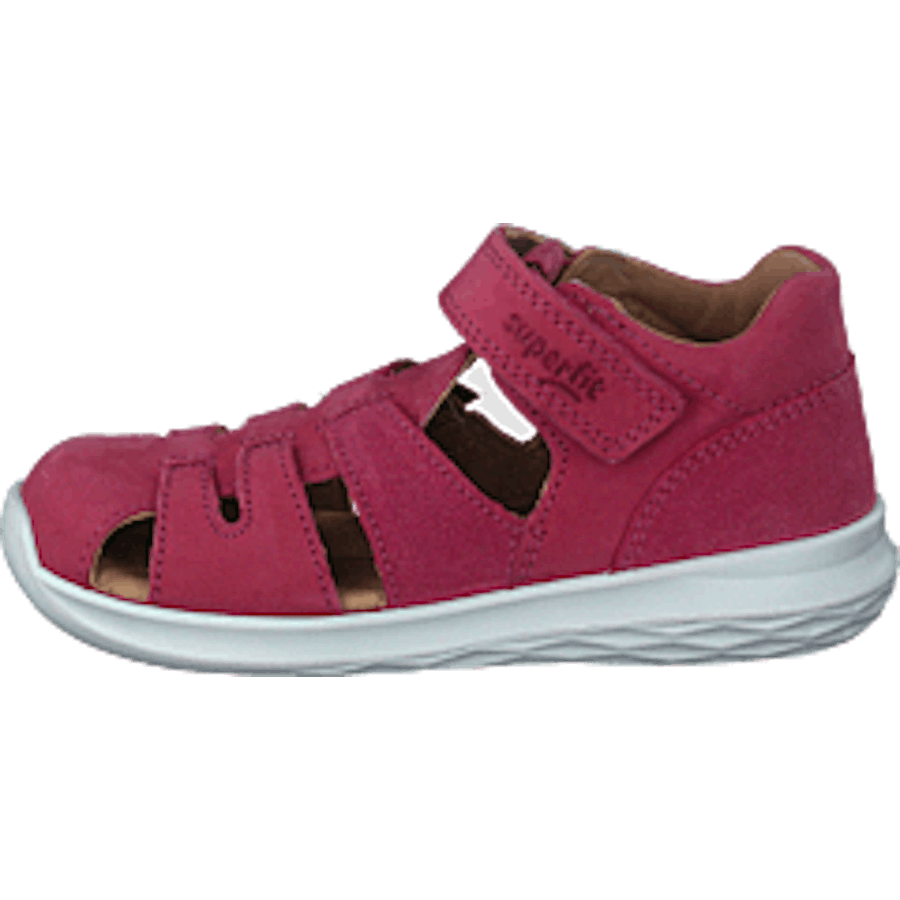 Bumblebee Pink