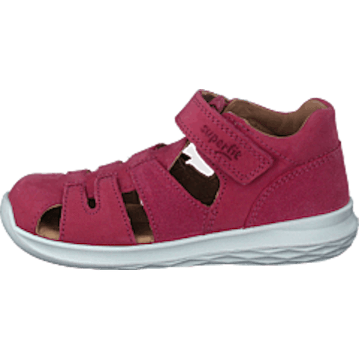 Bumblebee Pink