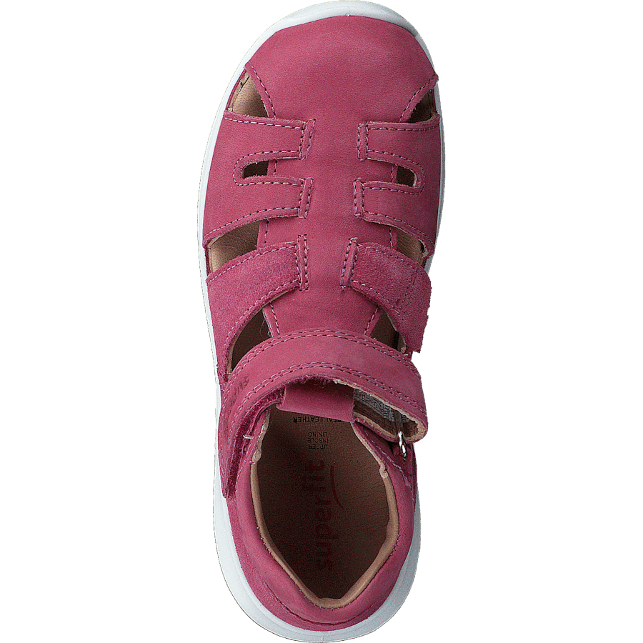 Bumblebee Pink