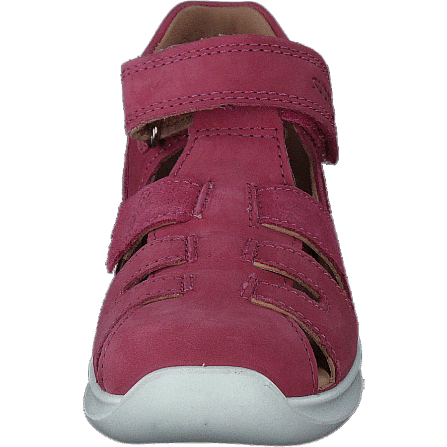 Bumblebee Pink