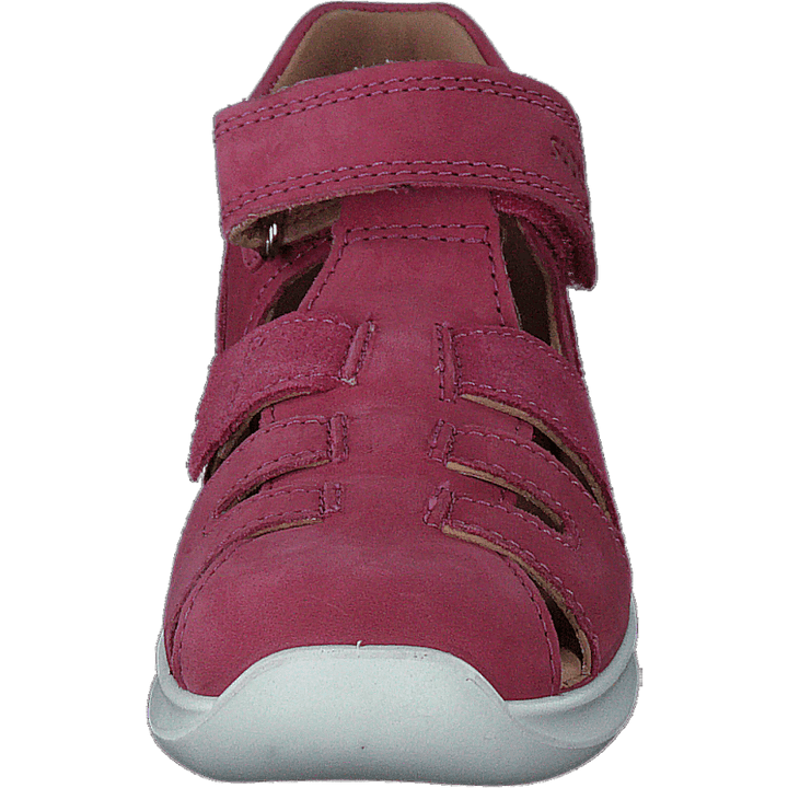 Bumblebee Pink