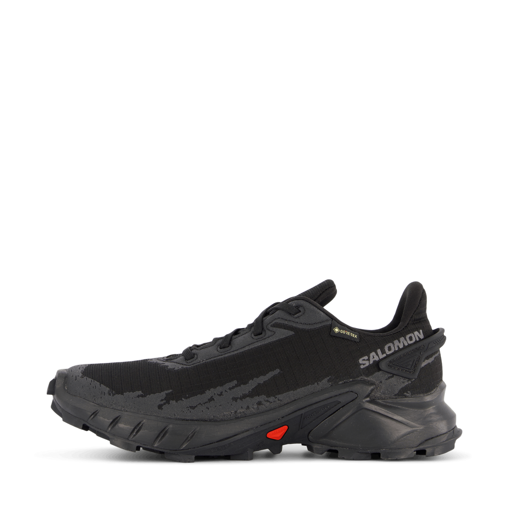 Alphacross 4 Gtx W Black/black