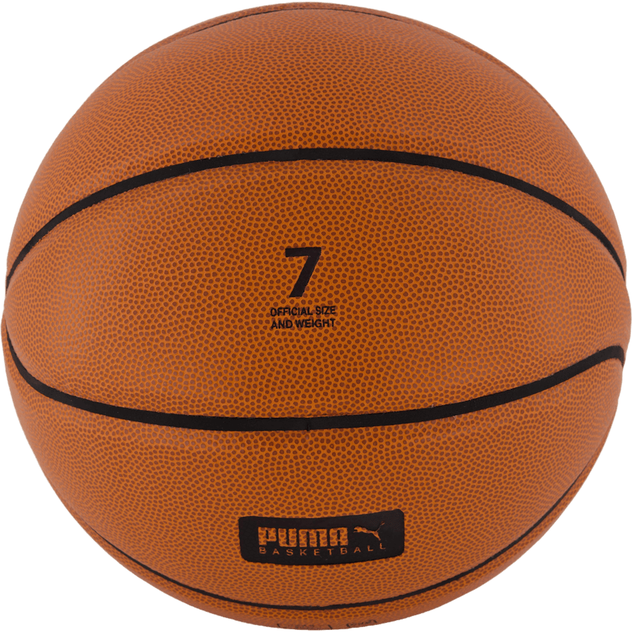 Puma Basketball Top Brown