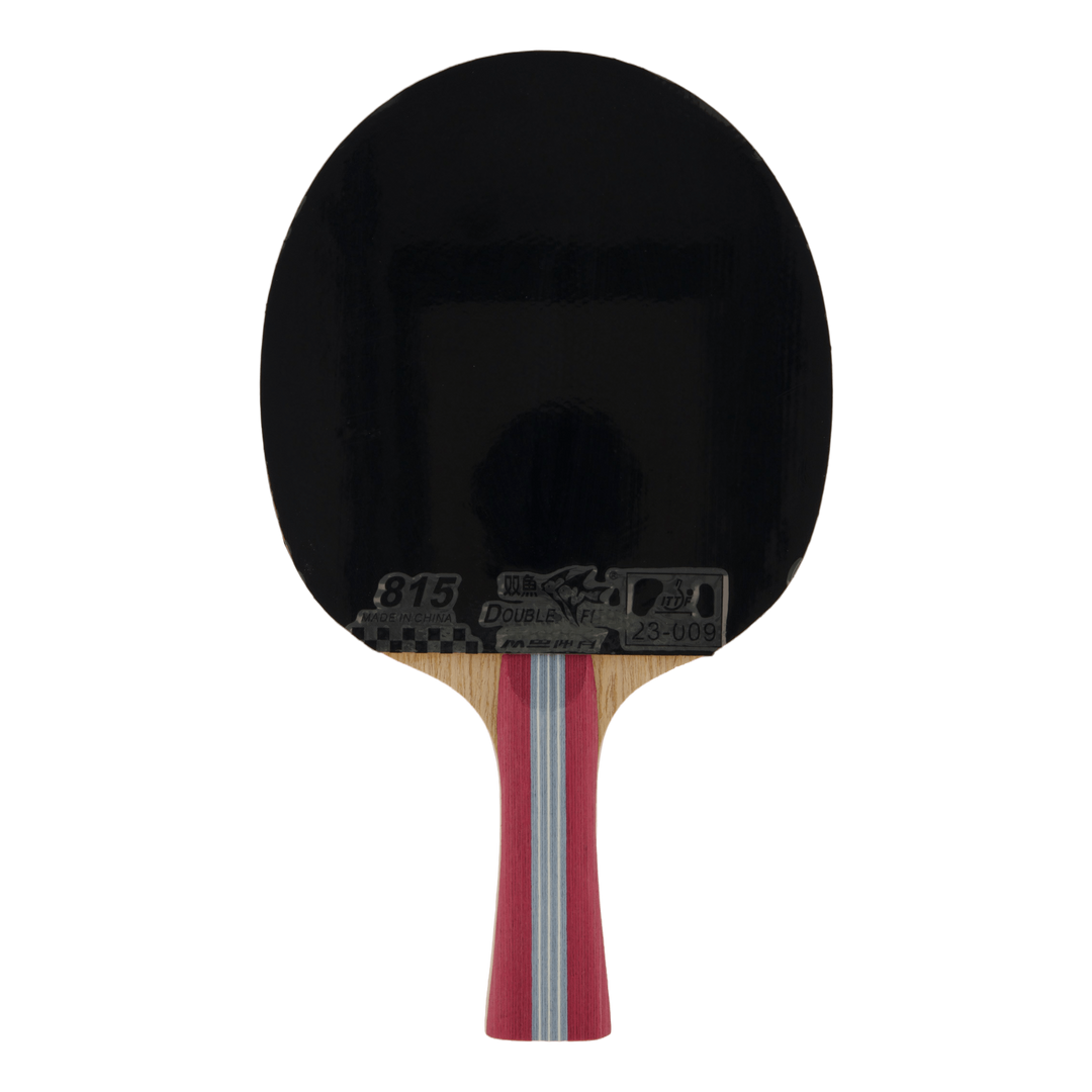 1a+ Table Tennis Racket
