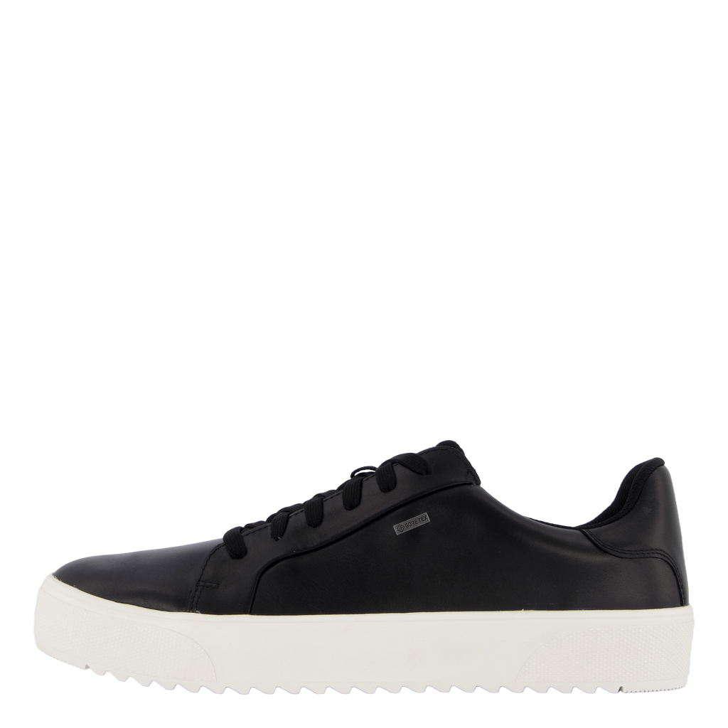 Rex Turin Gtx
