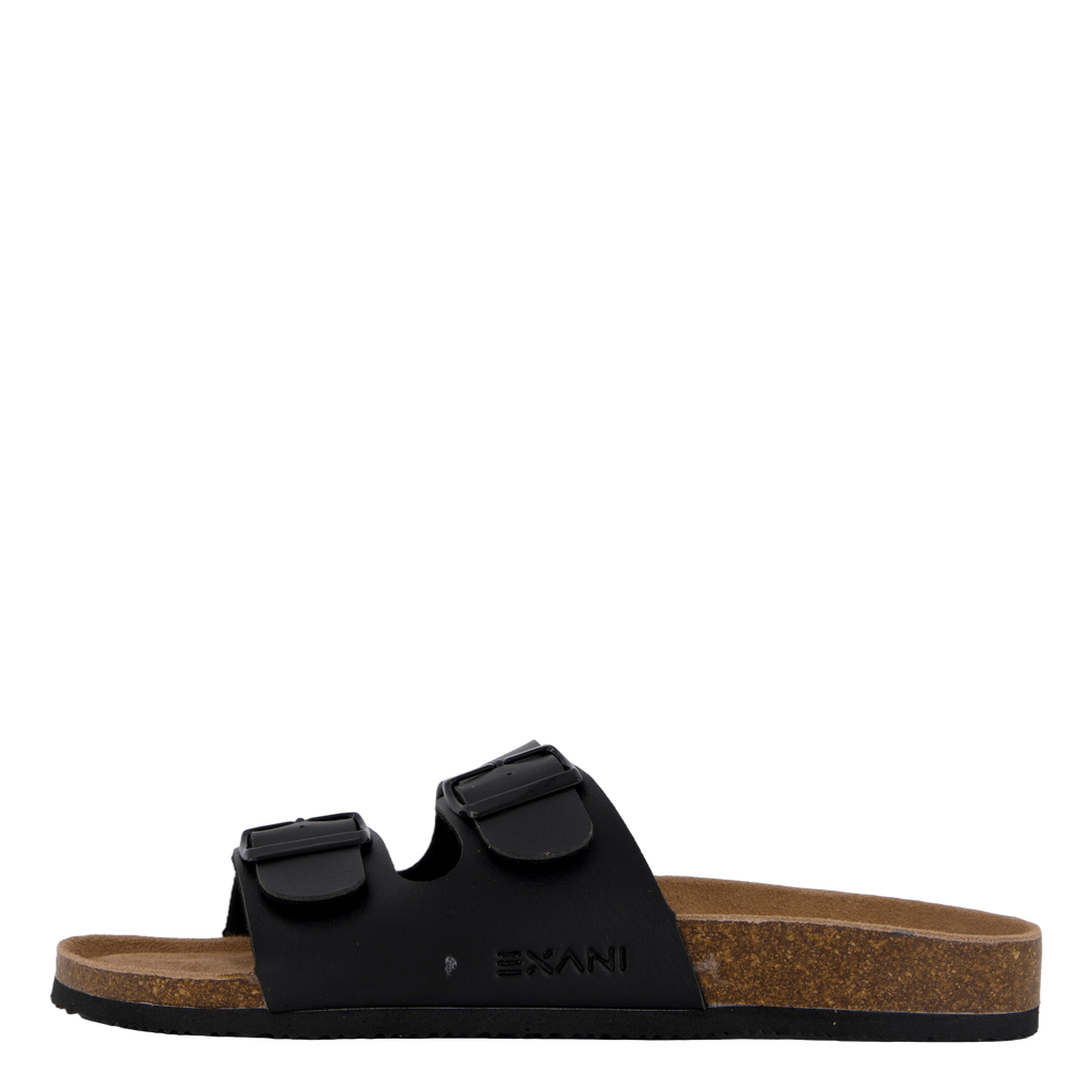 Spectra M