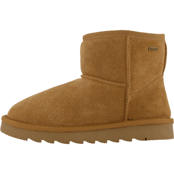 Piscopio Due Camel