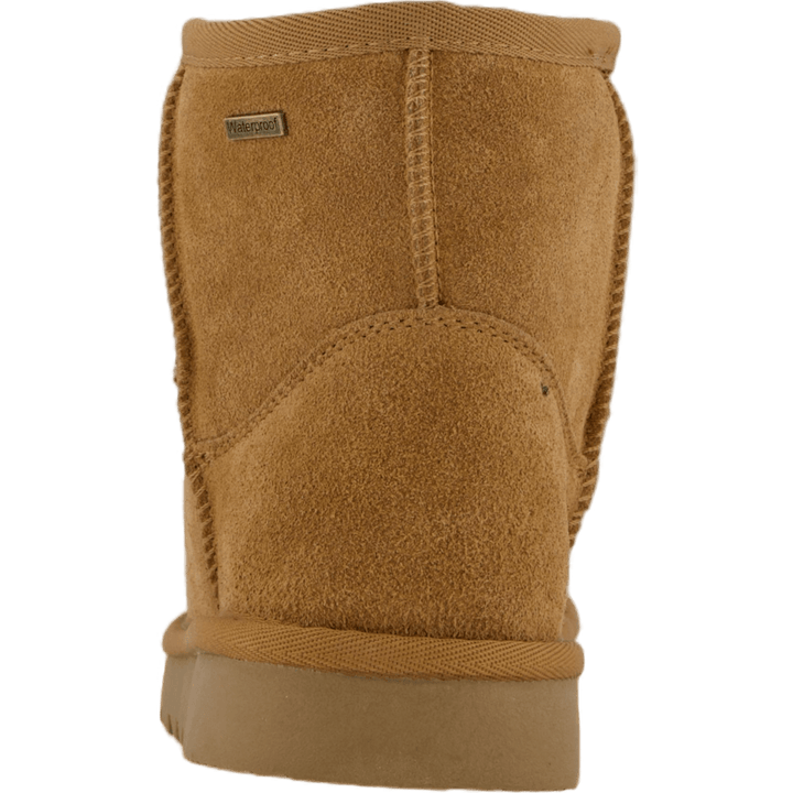 Piscopio Due Camel