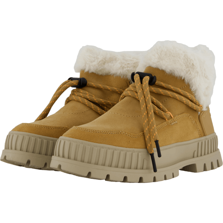 Pallashock Lo Hiver Irish Brown