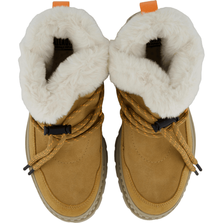 Pallashock Lo Hiver Irish Brown