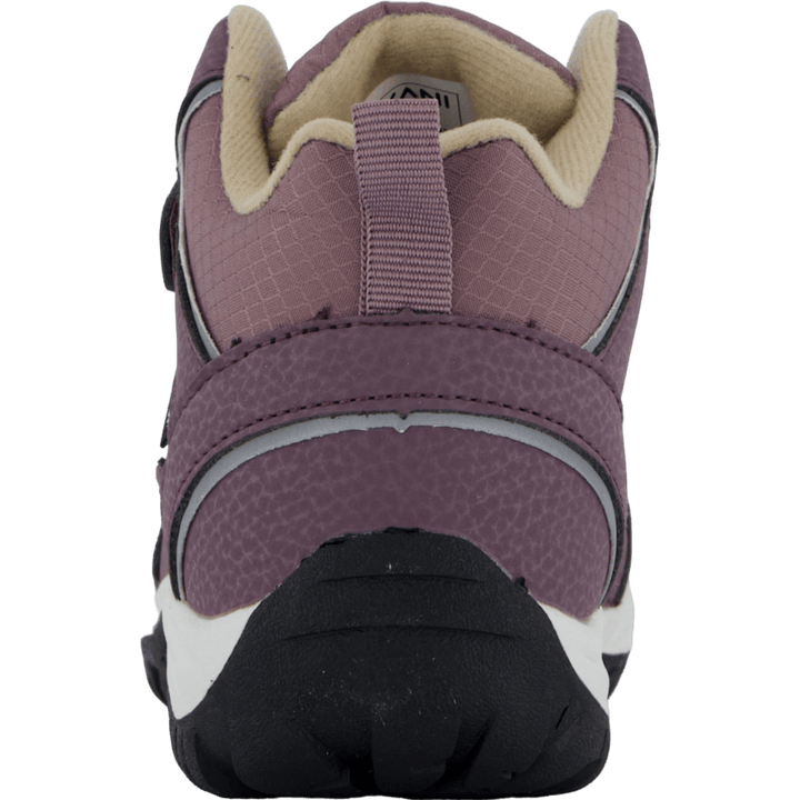 Harper K Purple