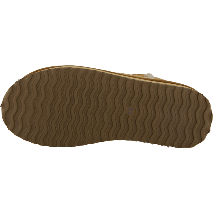71-00555 Camel
