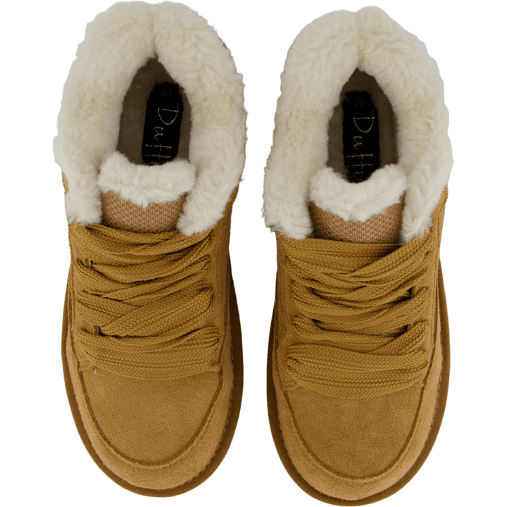 71-19901 Camel
