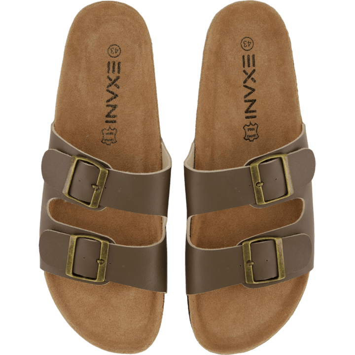 Spectra M Brown