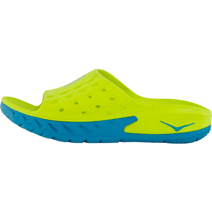 M ora recovery slide  Caribbean sea / primrose