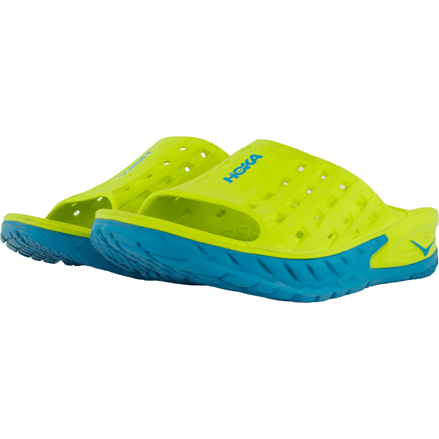 M ora recovery slide  Caribbean sea / primrose