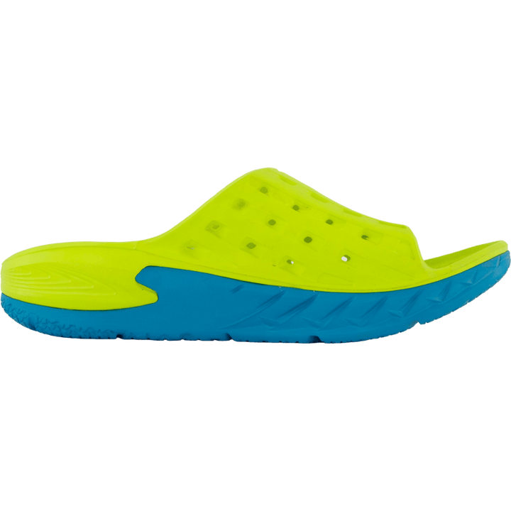 M ora recovery slide  Caribbean sea / primrose