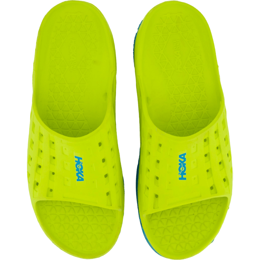 M ora recovery slide  Caribbean sea / primrose