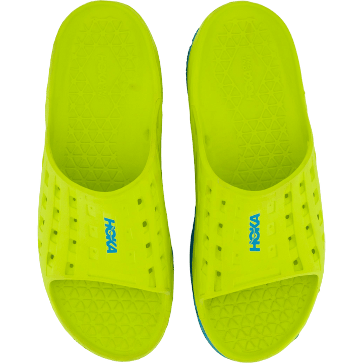 M ora recovery slide  Caribbean sea / primrose