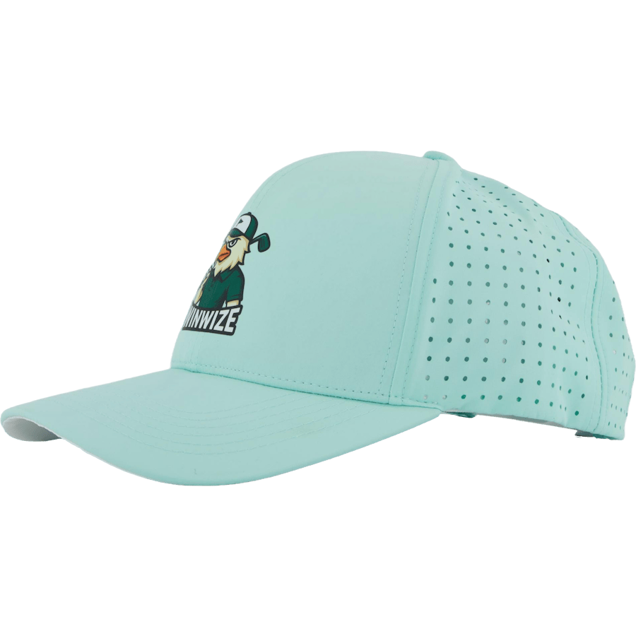 Snapback Mint