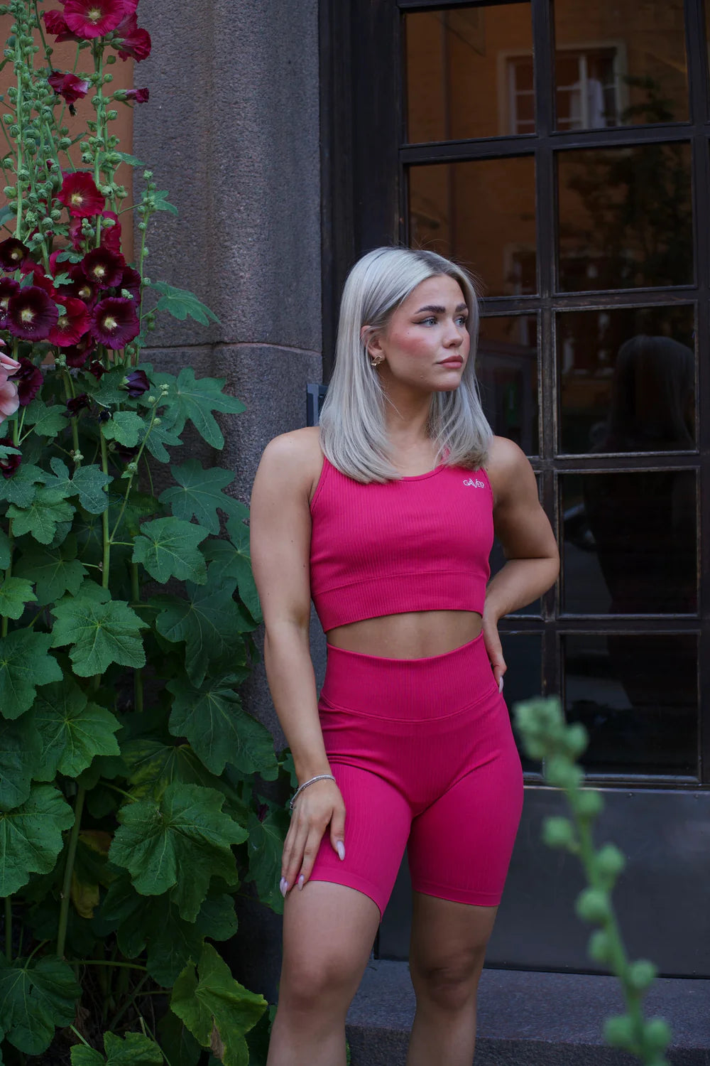 Ribbed Seamless Biker Shorts Berry