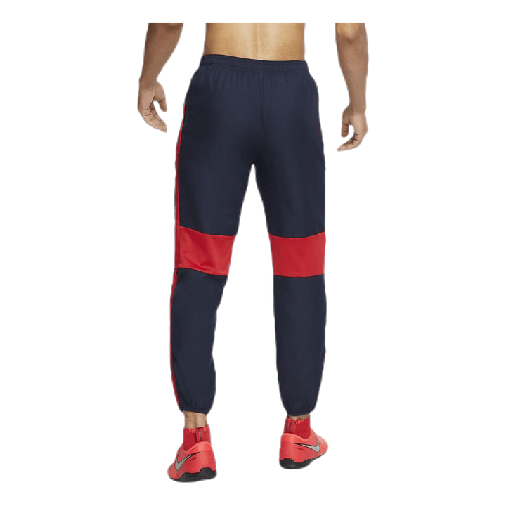 Dri-FIT Academy Blue/Red