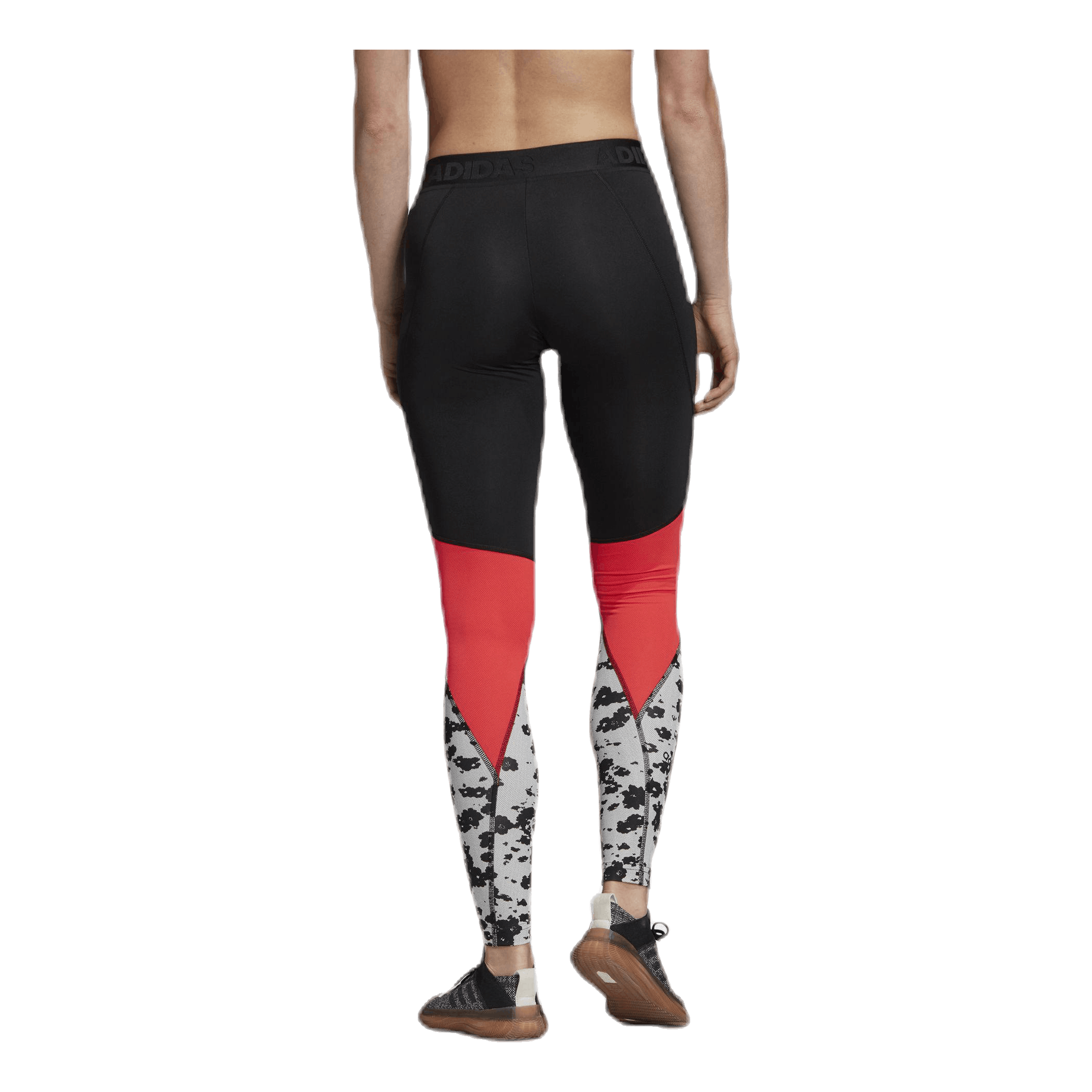 adidas alphaskin sport iteration long leggings