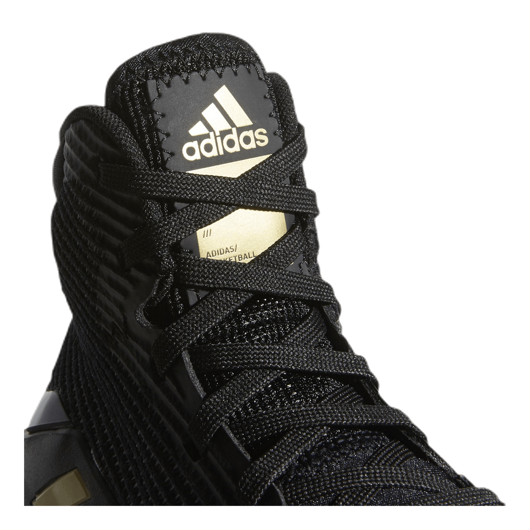 Pro Bounce 2019 Shoes Core Black / Gold Met. / Cloud White