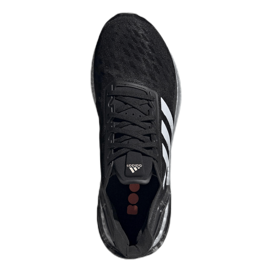 Adidas ultra boost pb 2024 cloud white core black