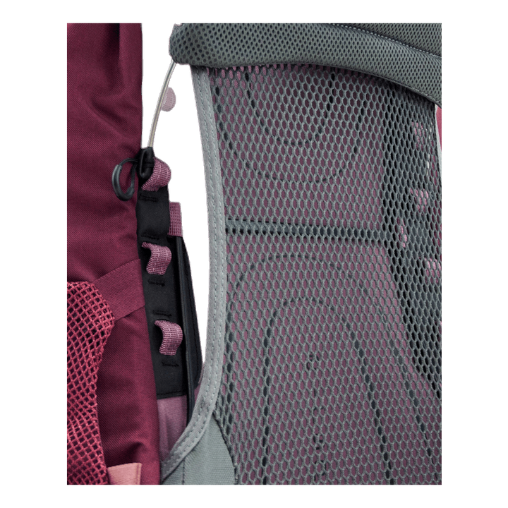 Renn 65 Purple