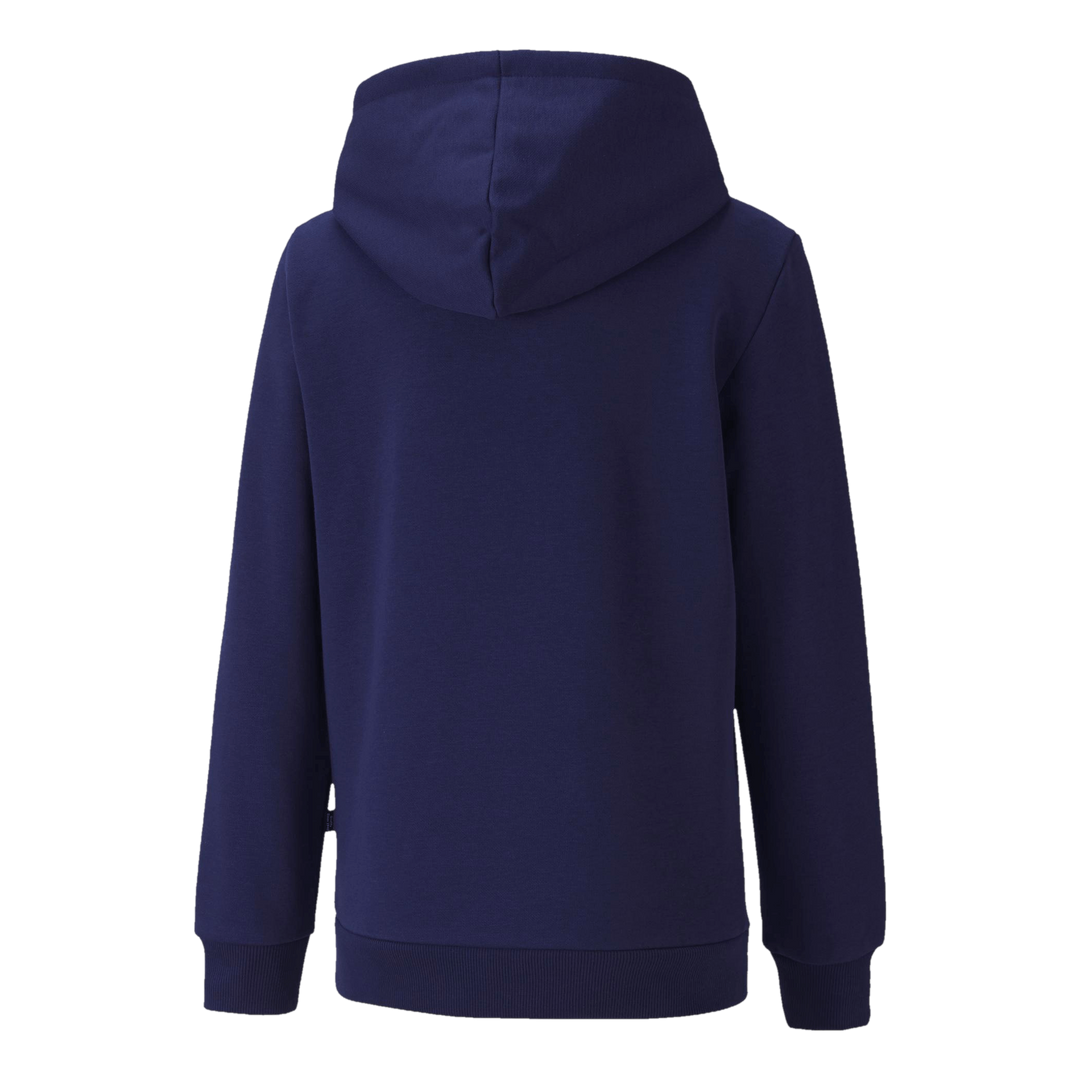 ESS 2 Col Hoody Blue