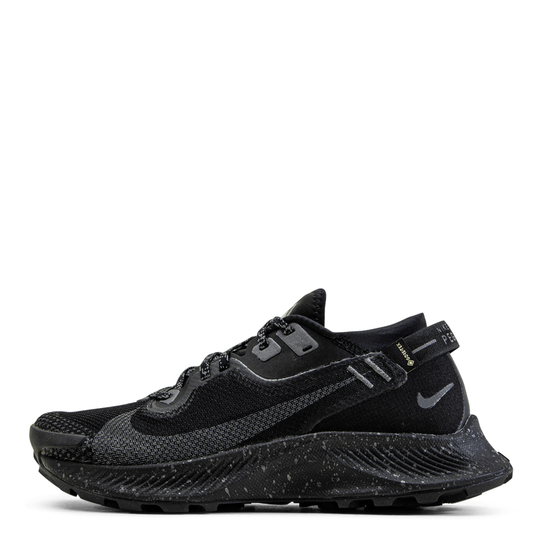 Pegasus Trail 2 GORE-TEX Black/Grey