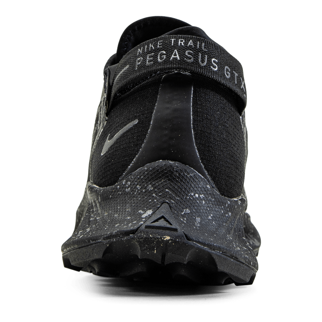 Pegasus Trail 2 GORE-TEX Black/Grey