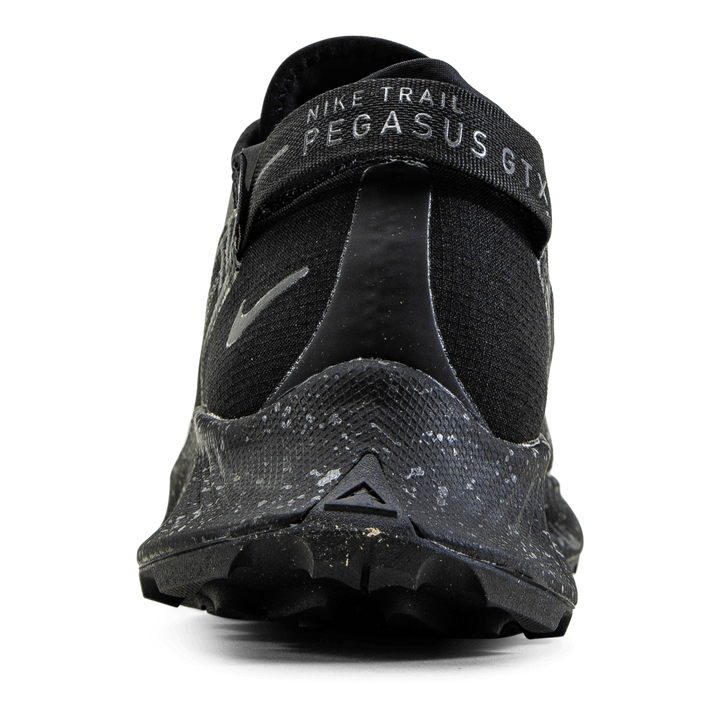 Pegasus Trail 2 GORE-TEX Black/Grey