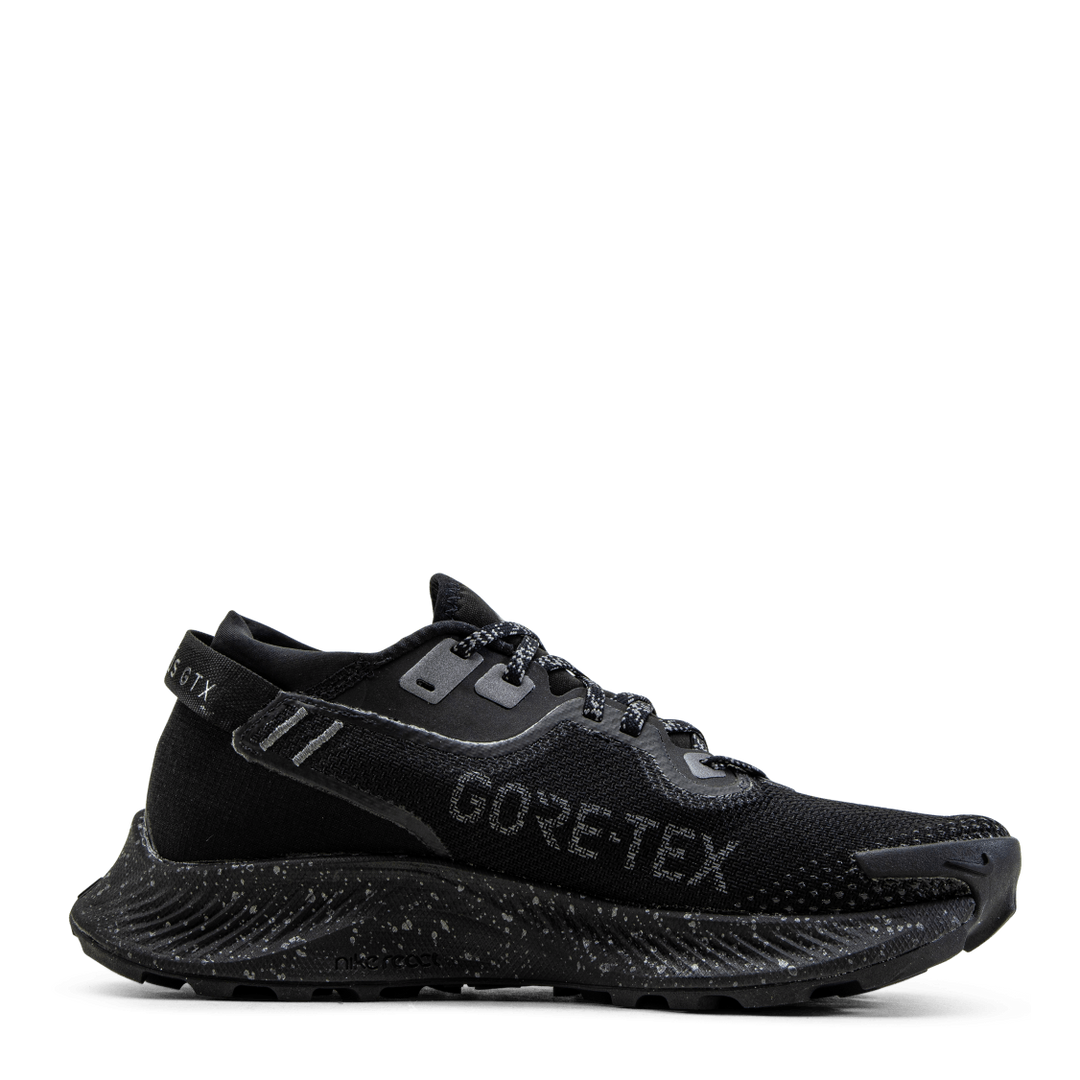 Pegasus Trail 2 GORE-TEX Black/Grey