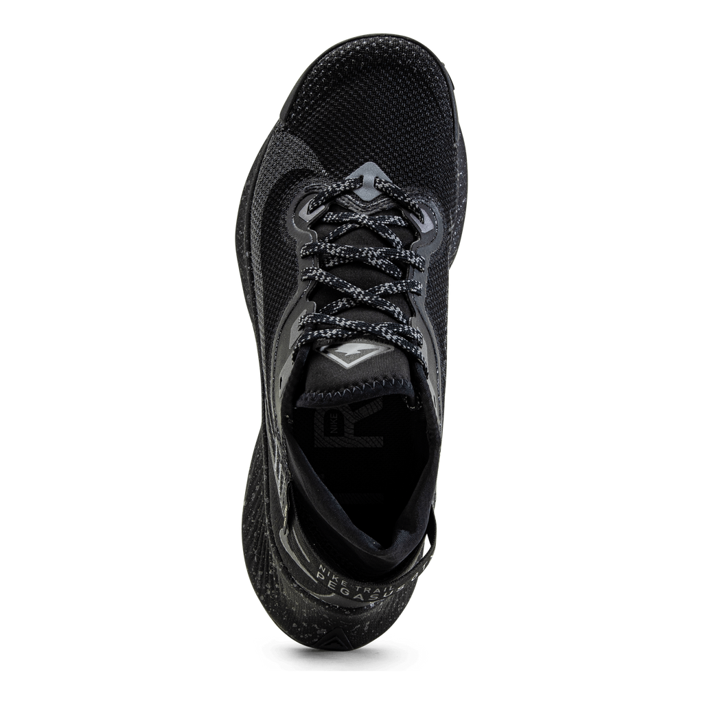Pegasus Trail 2 GORE-TEX Black