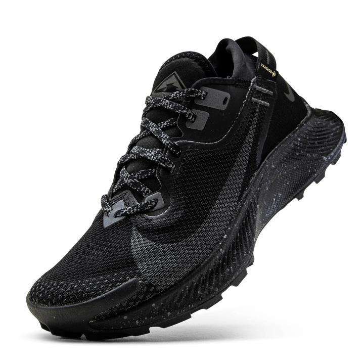 Pegasus Trail 2 GORE-TEX Black/Grey