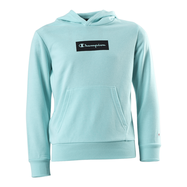 Pastel Hooded Sweatshirt Junior Turquoise