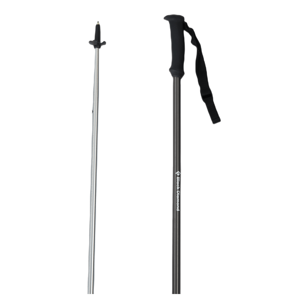 Trail Explorer 2 Trek Poles Grey