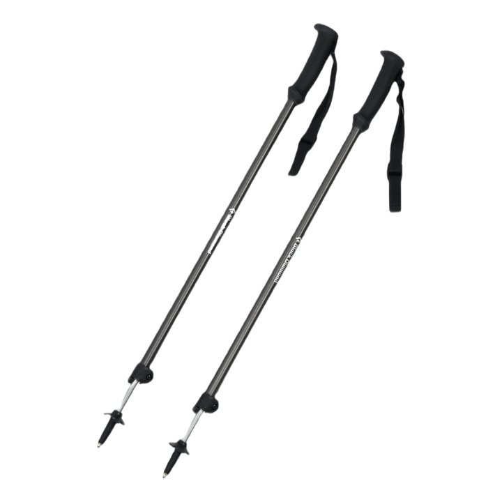 Trail Explorer 2 Trek Poles Grey