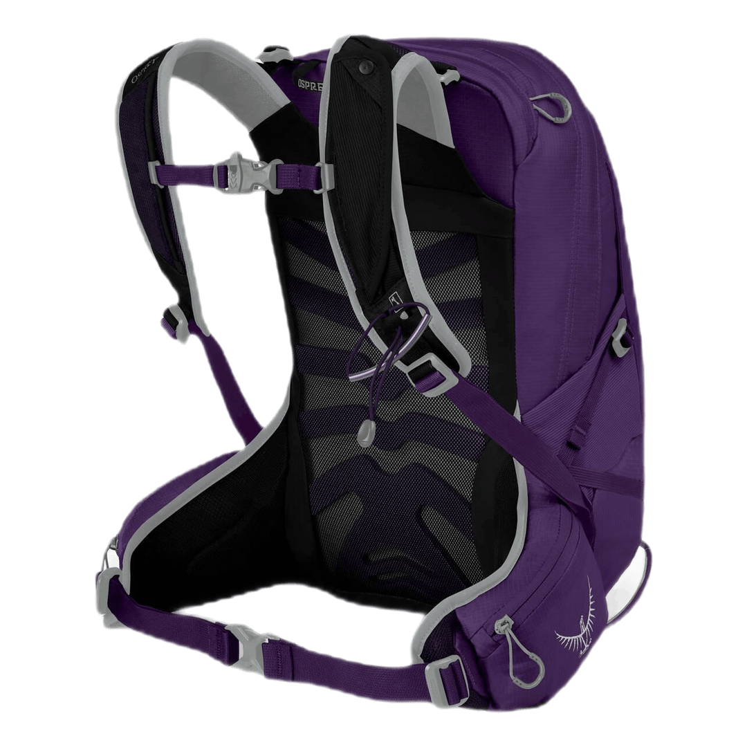 Tempest 9 Purple