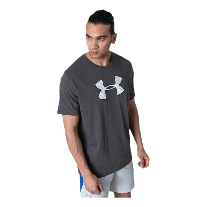 Big Logo SS Grey