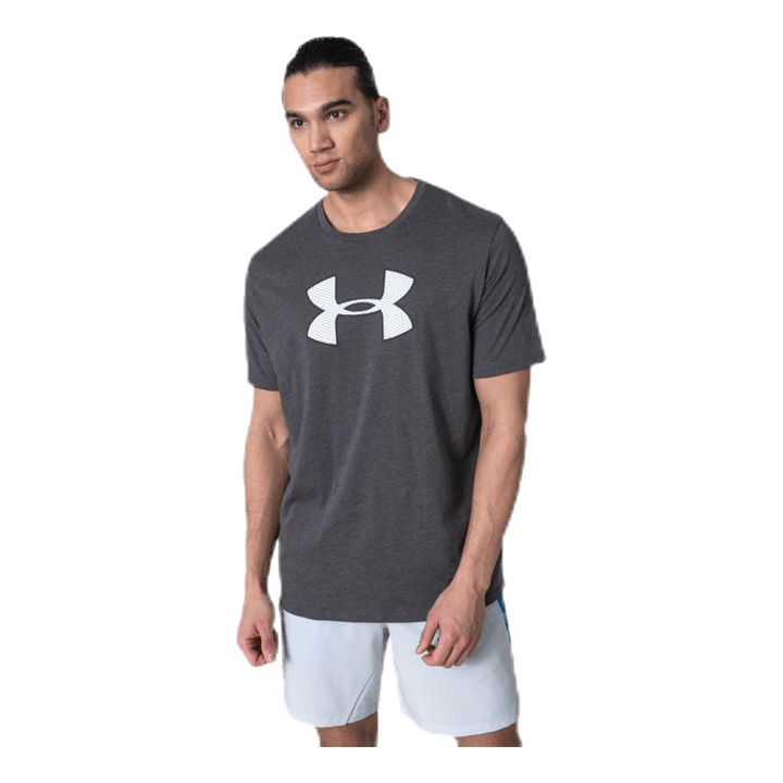 Big Logo SS Grey