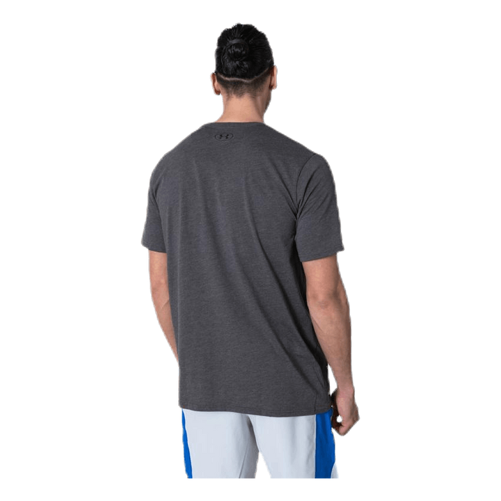 Big Logo SS Grey
